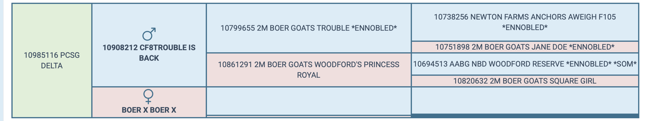 Screenshot 2025-04-20 at 7.43.20 PM